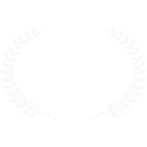 Nominee New York Independent Cinema Awards