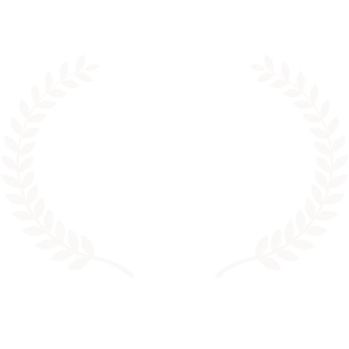 Winner New York Independent Cinema Awards